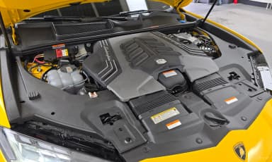 Urus