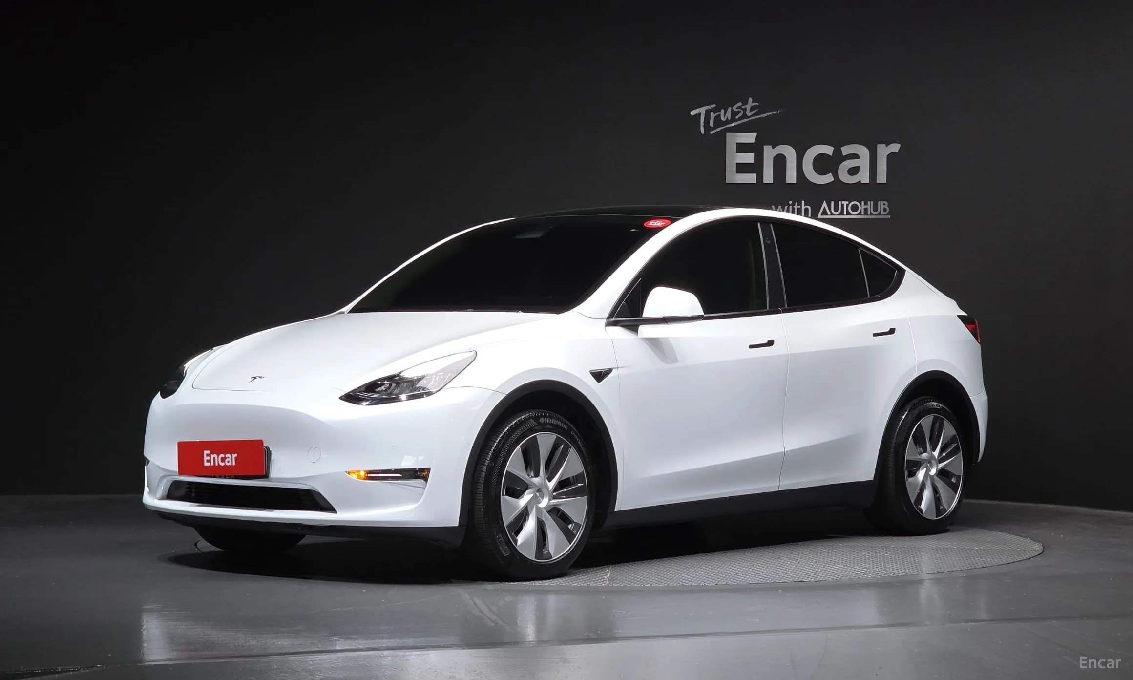 Model Y