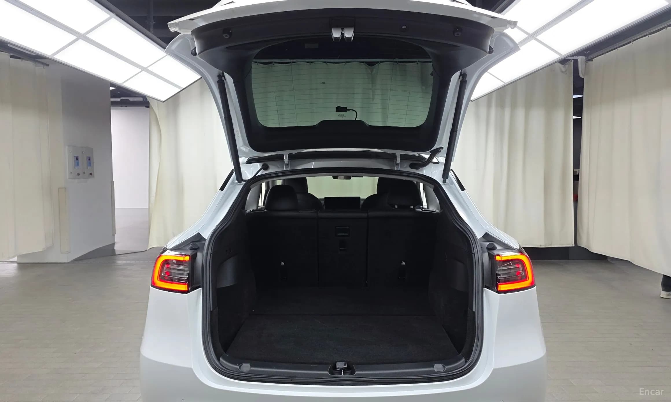 Model Y