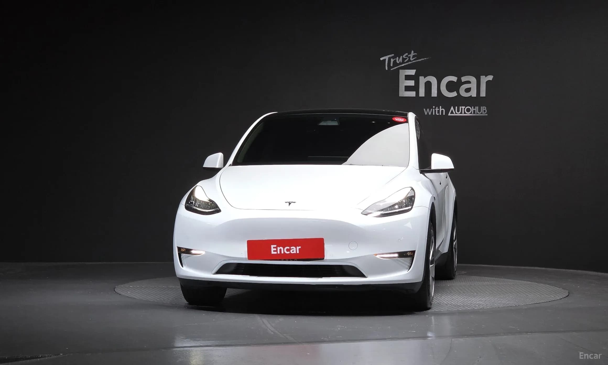 Model Y