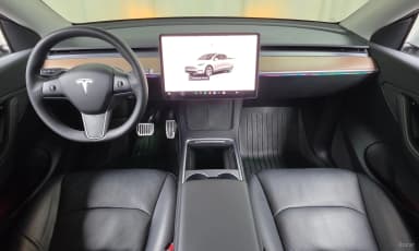 Model Y