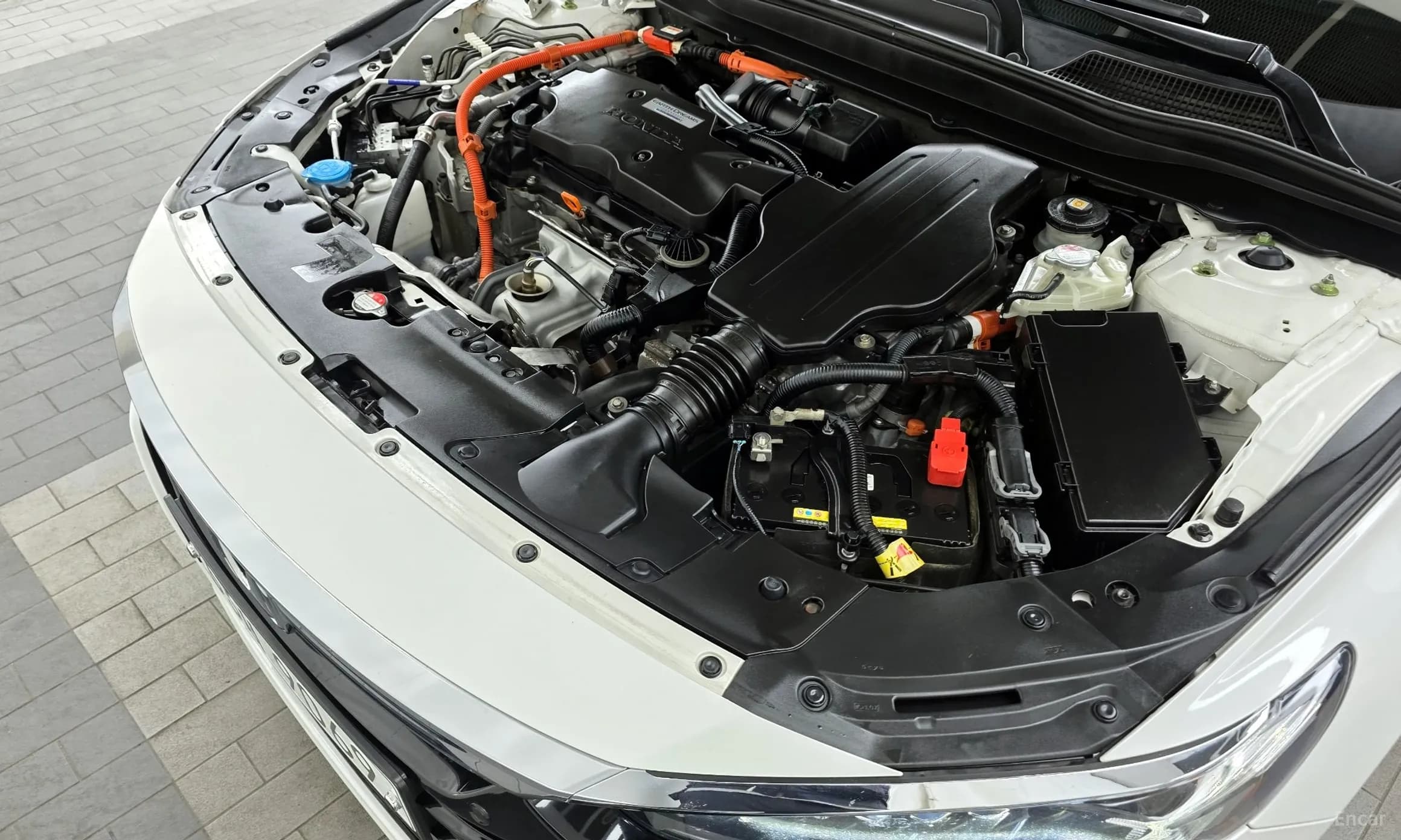 Accord 10th Generation