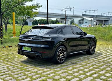 Cayenne (PO536)