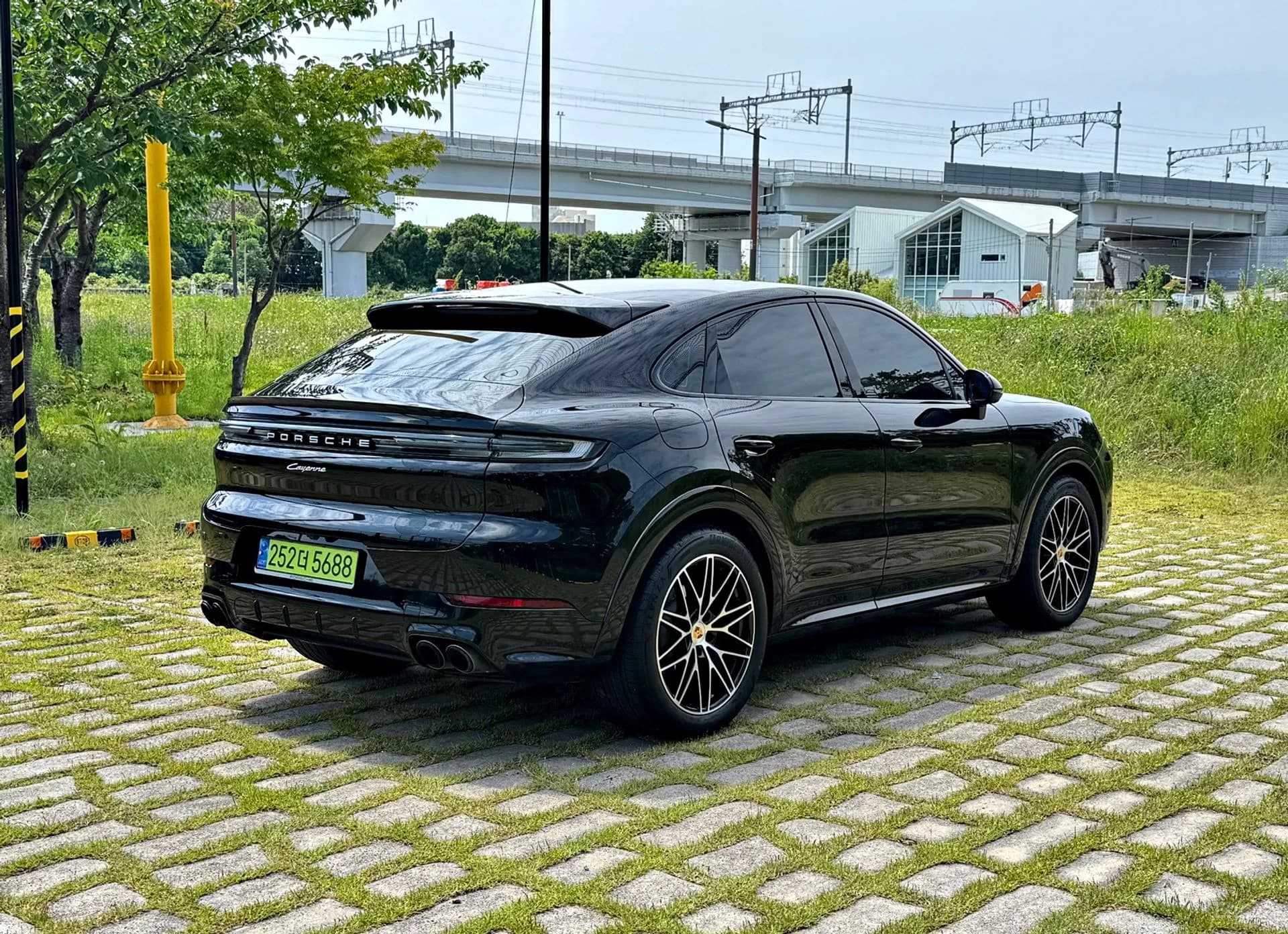 Cayenne (PO536)