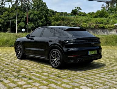 Cayenne (PO536)