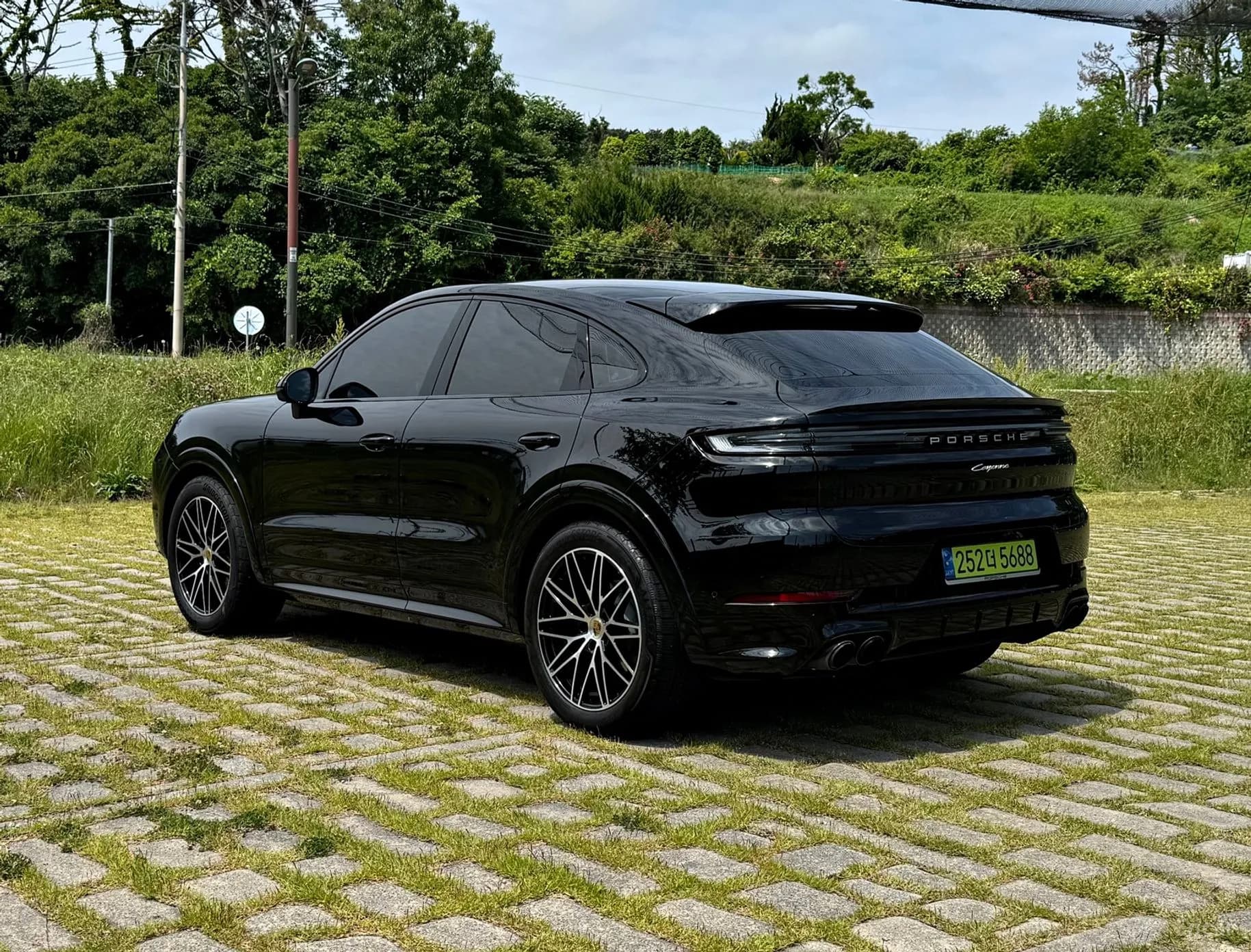 Cayenne (PO536)