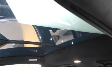 Model X