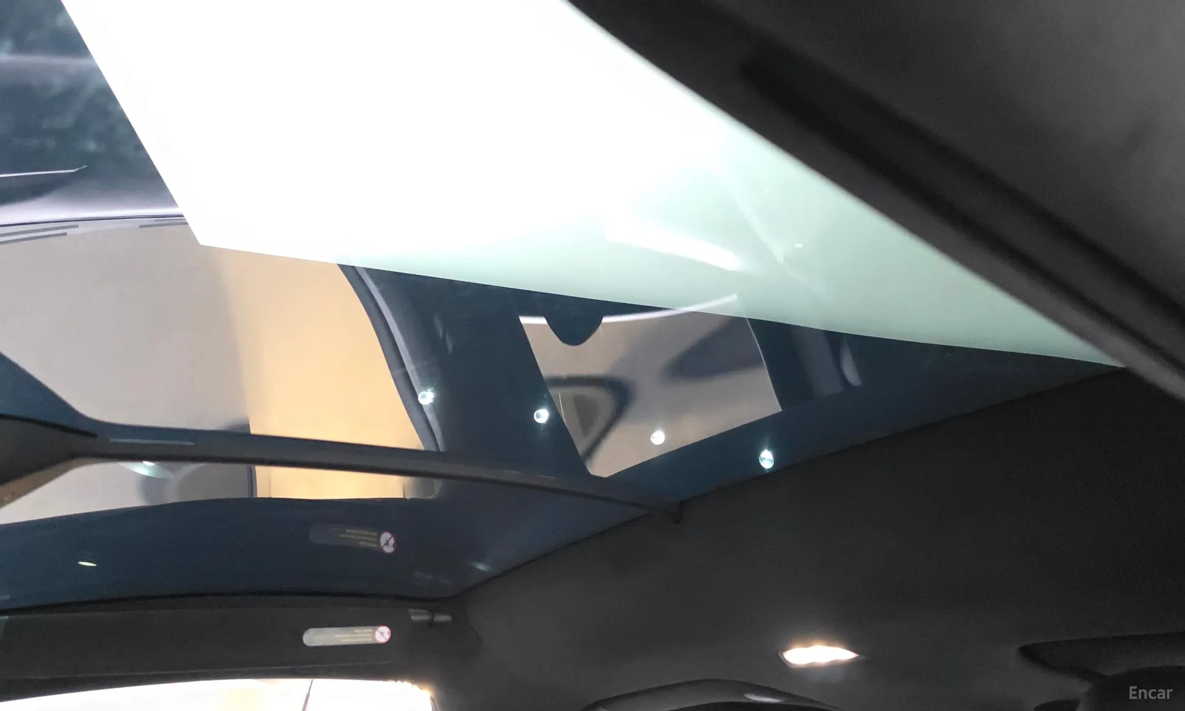 Model X