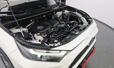 RAV4 5th Generation