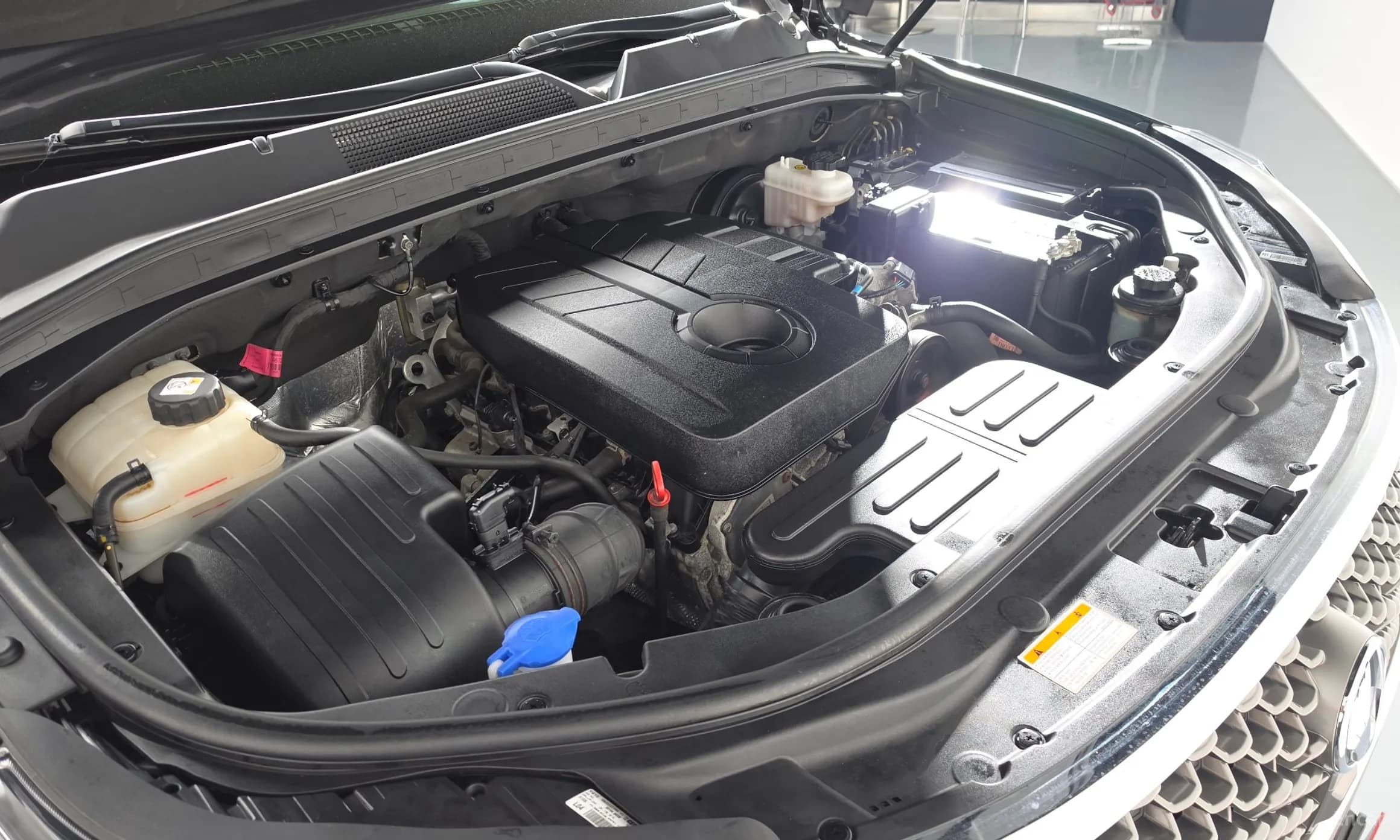 G4 Rexton
