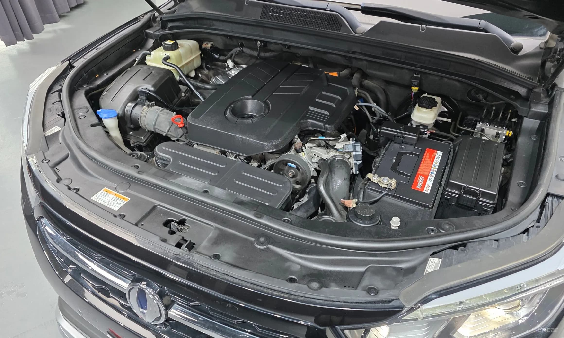 Rexton Sports