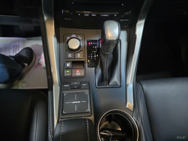 NX300h