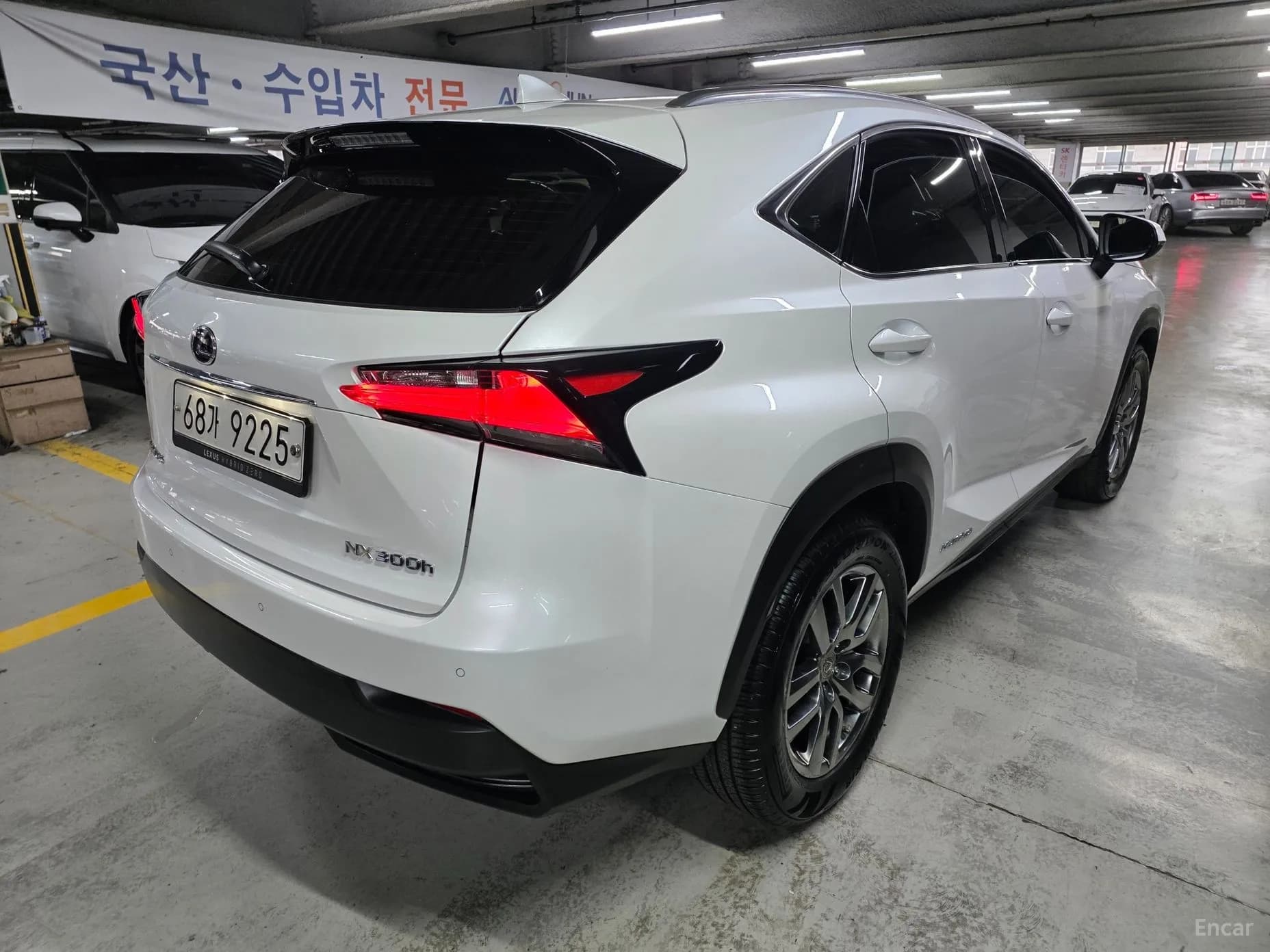 NX300h