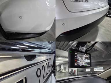 NX300h