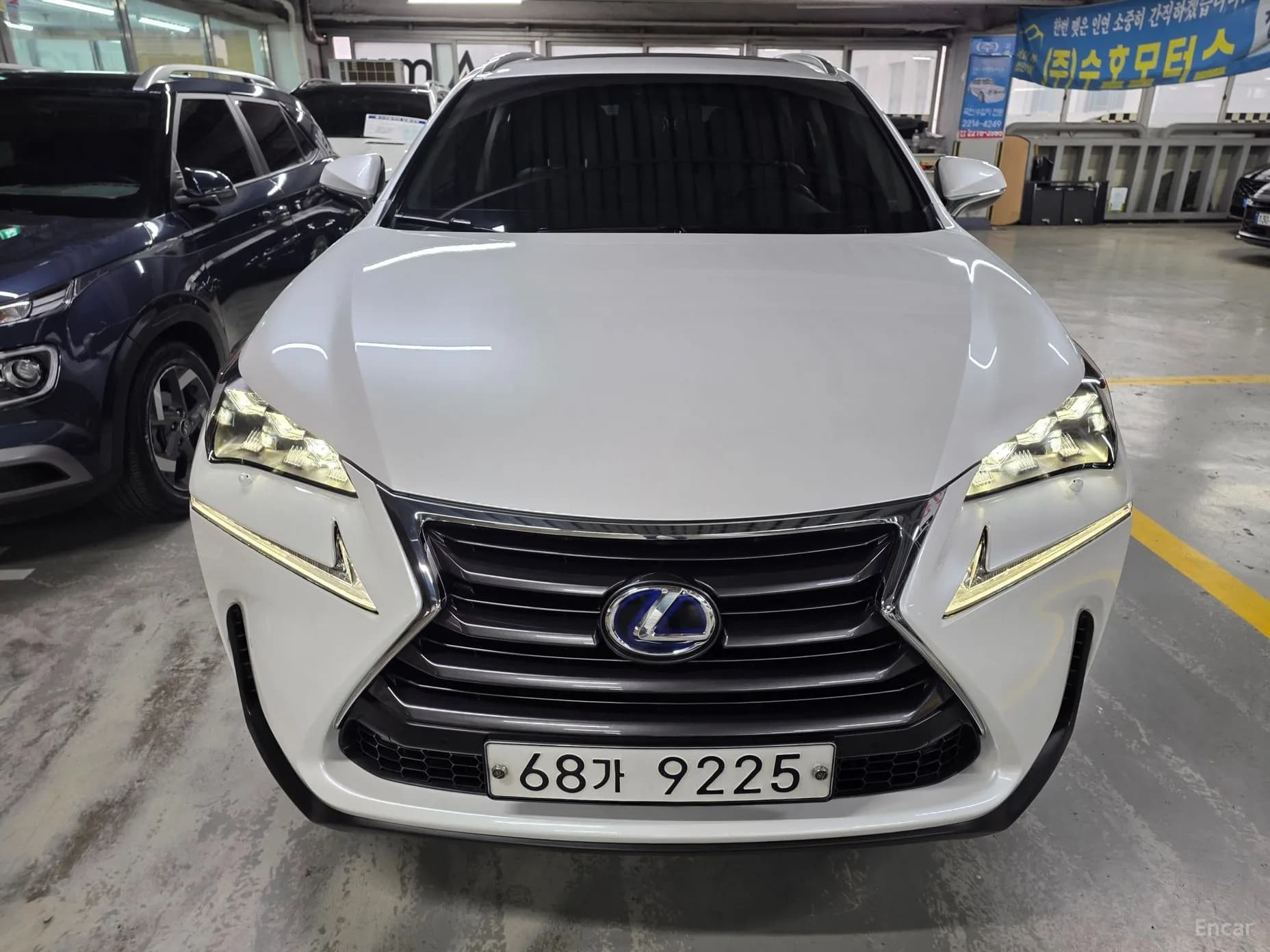 NX300h