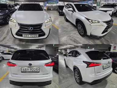NX300h