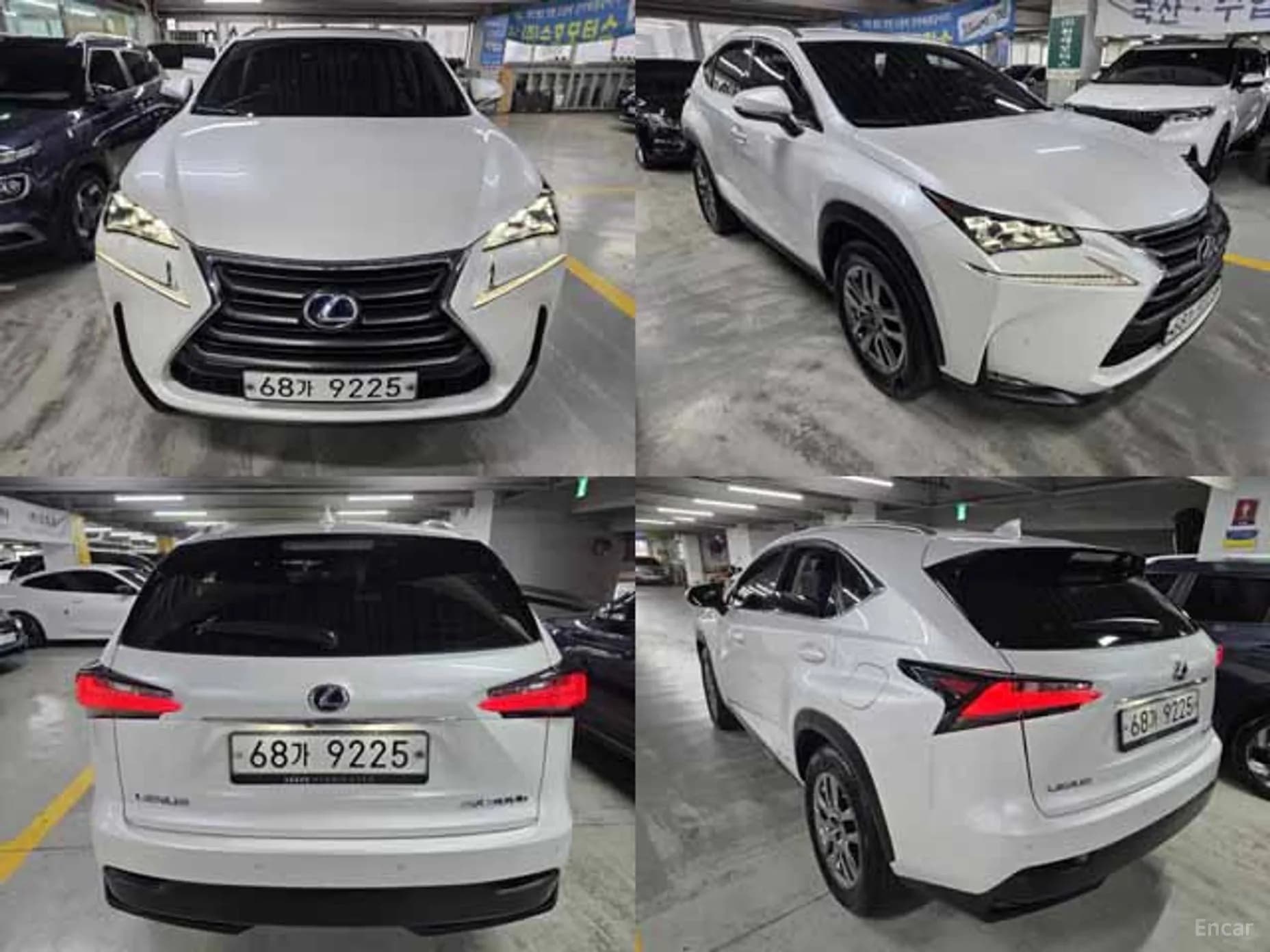 NX300h