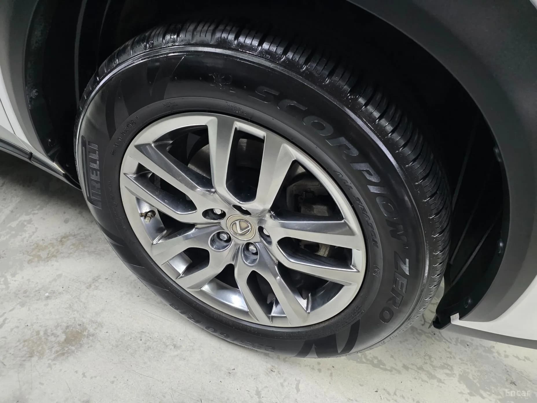 NX300h