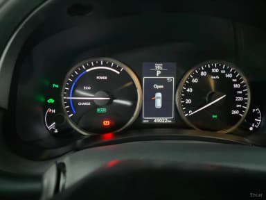 NX300h