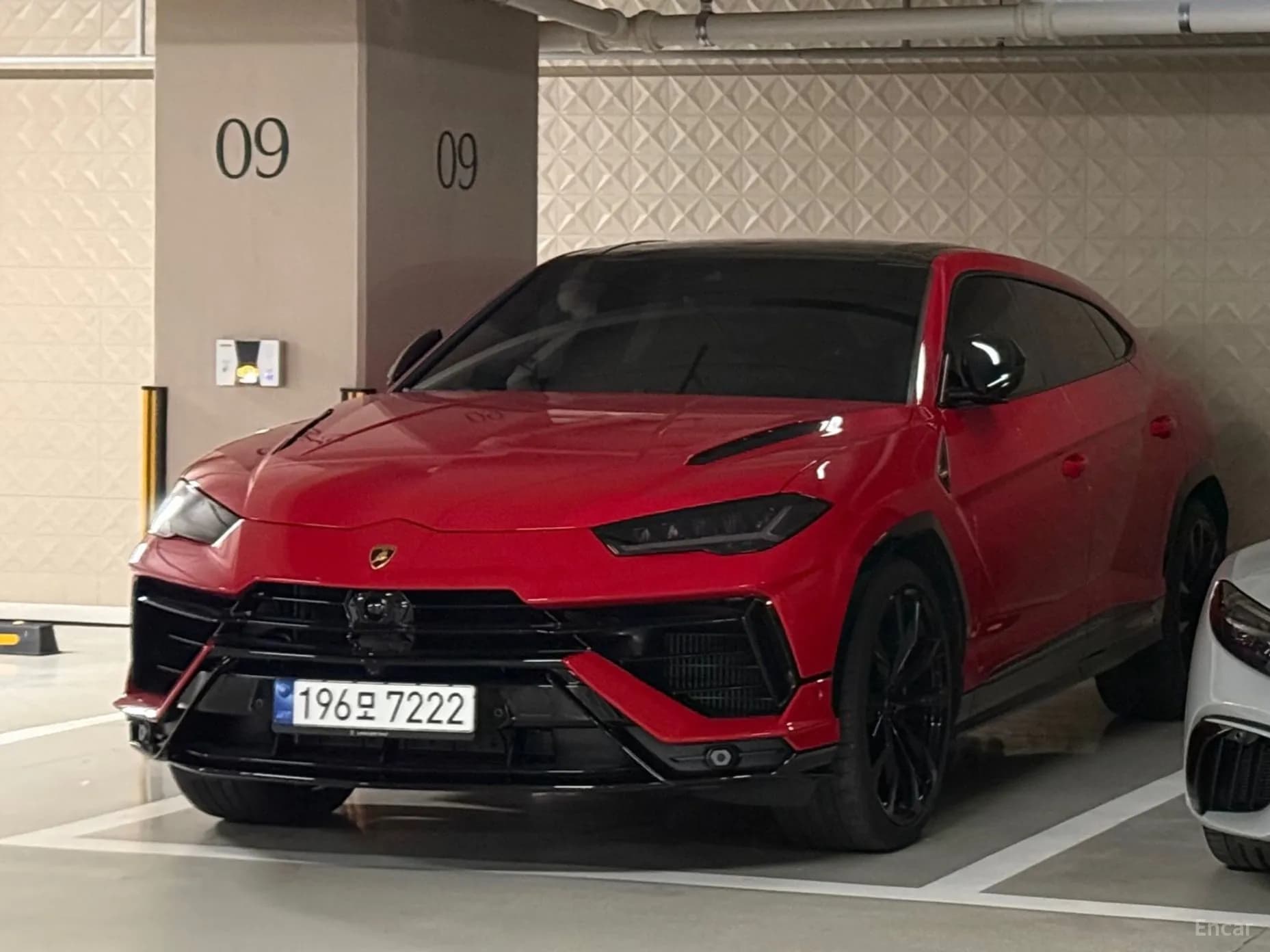 Urus
