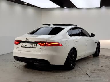 XF (x260)