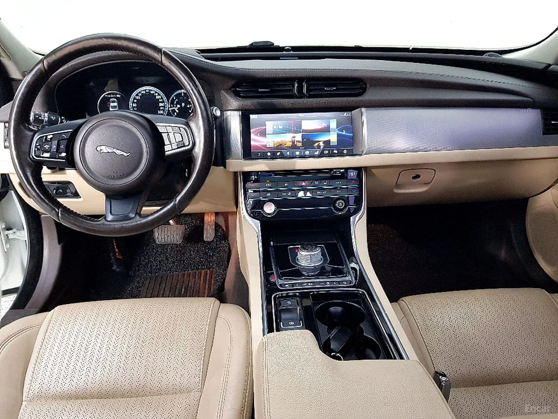 XF (x260)