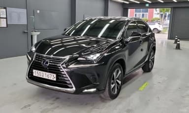 NX300h