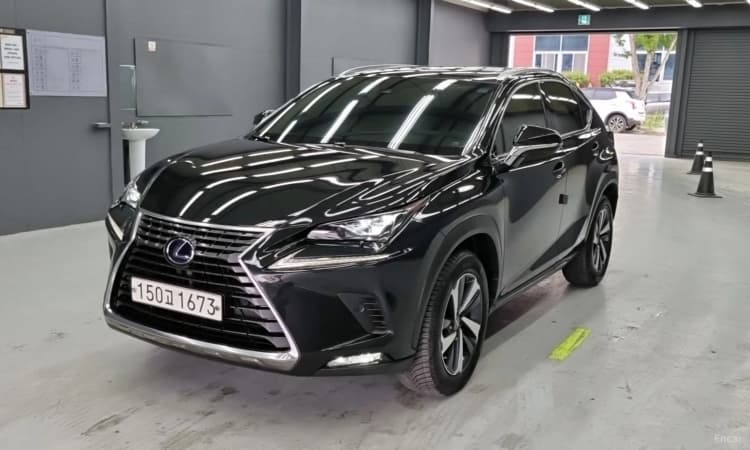 NX300h