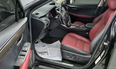 NX300h