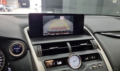 NX300h