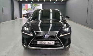 NX300h