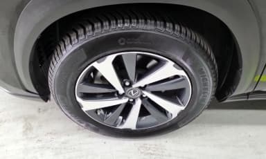 NX300h