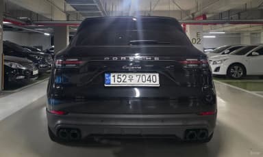 Cayenne (PO536)