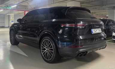 Cayenne (PO536)