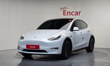 Model Y