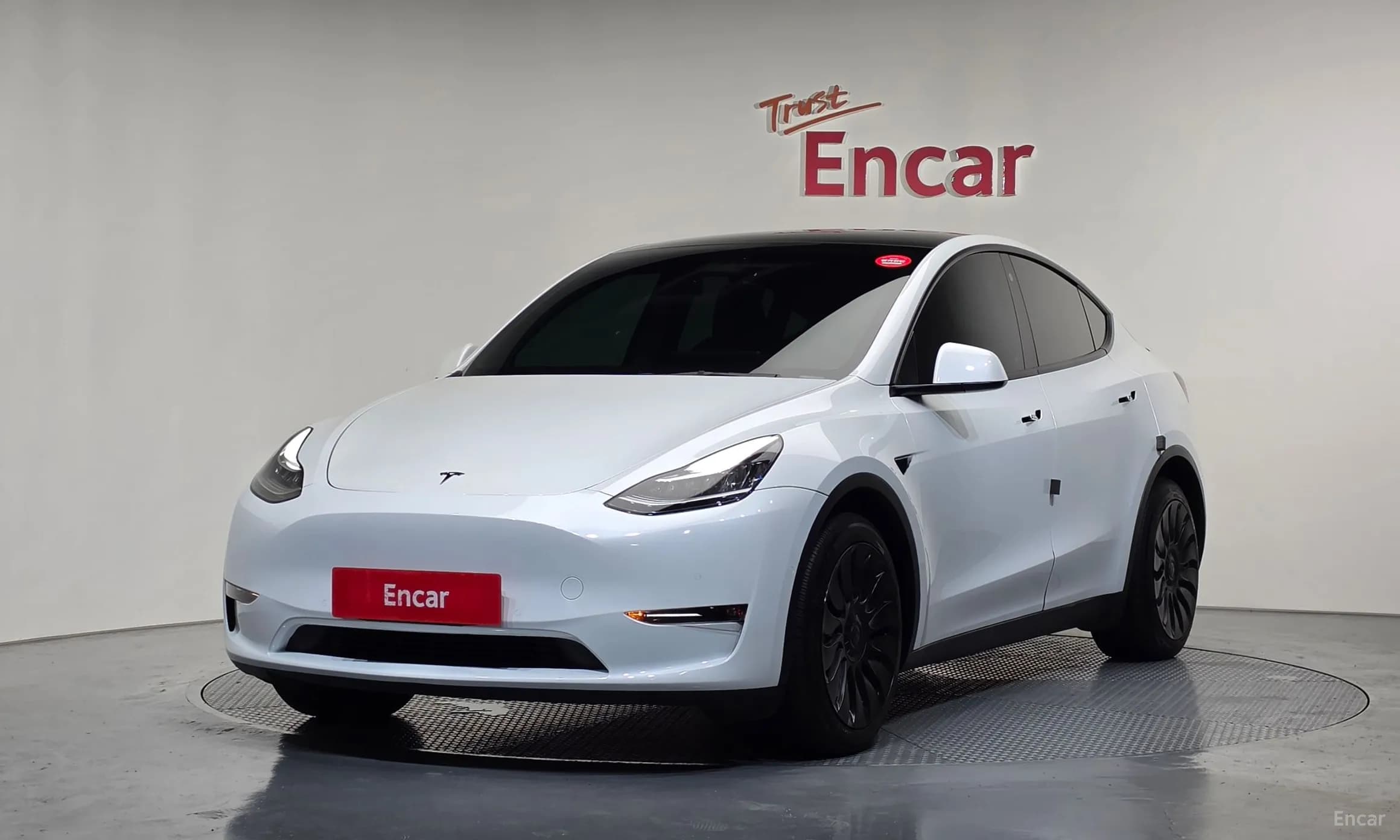 Model Y