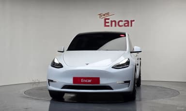 Model Y