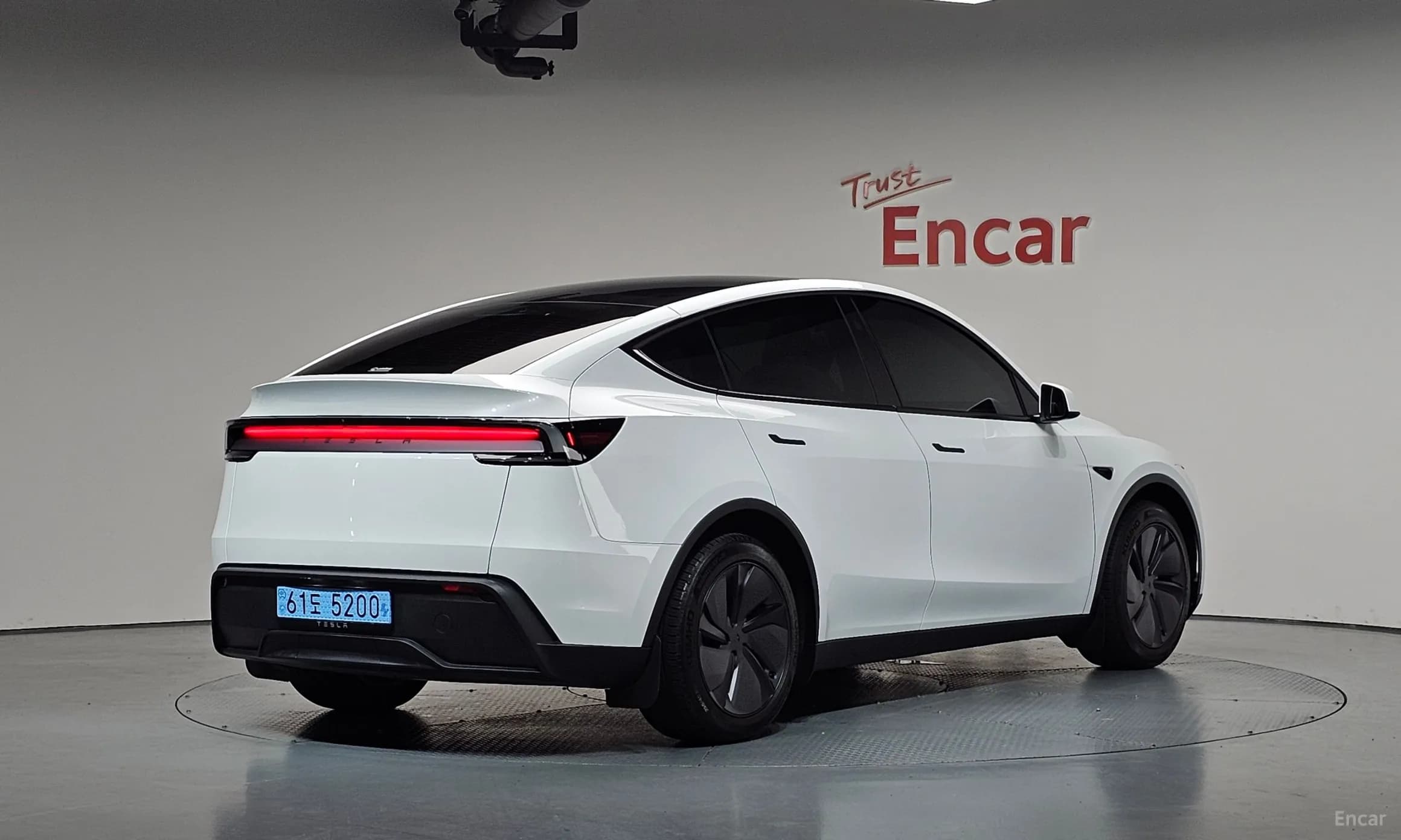 Model Y