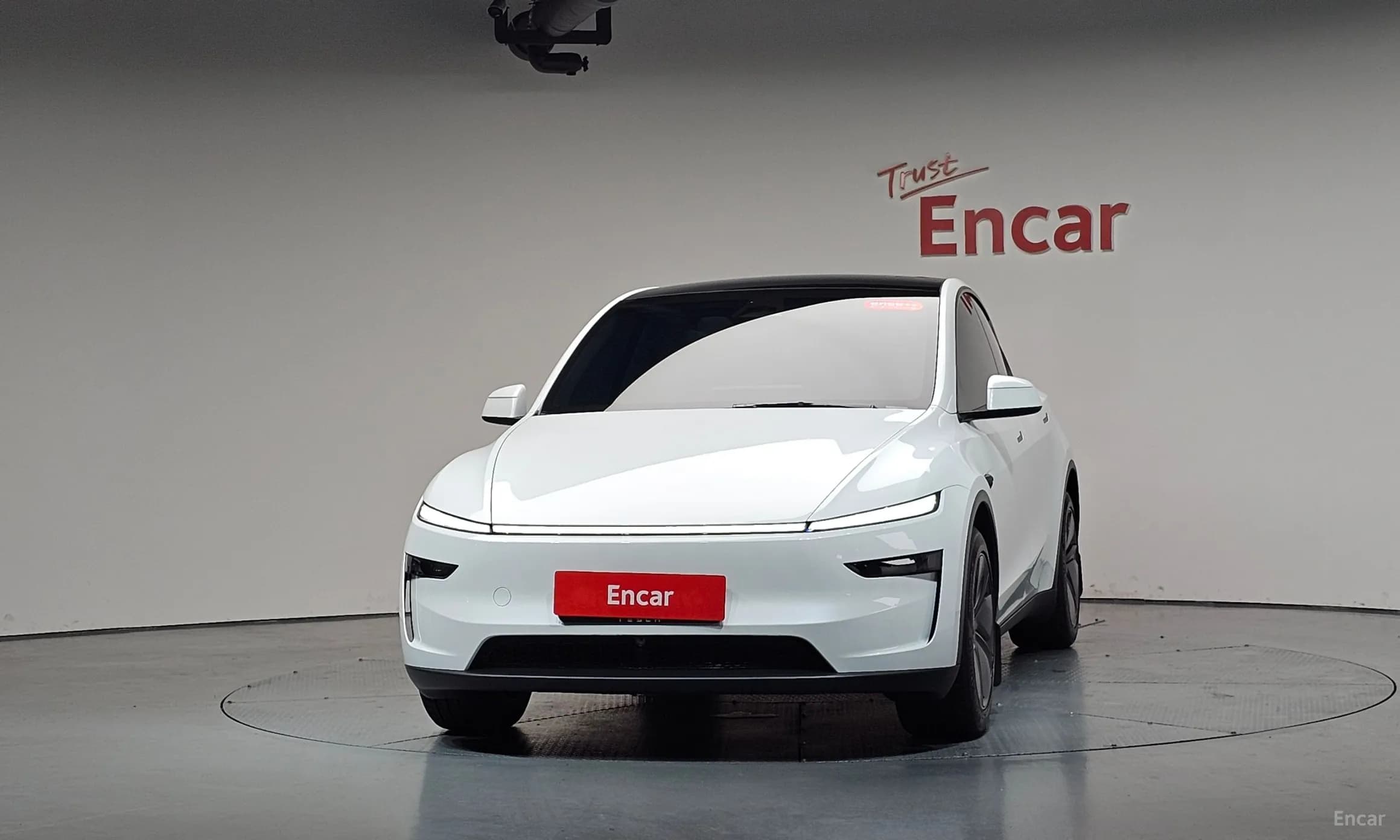 Model Y