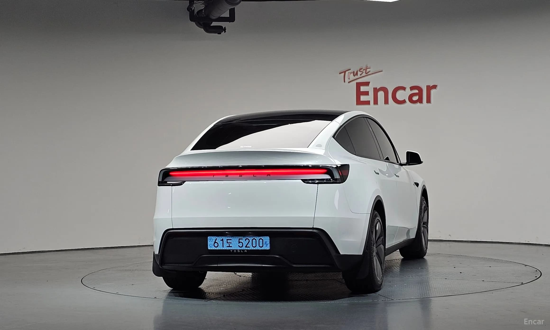 Model Y