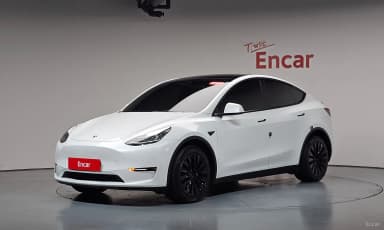 Model Y