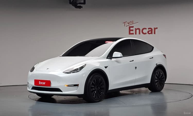Model Y