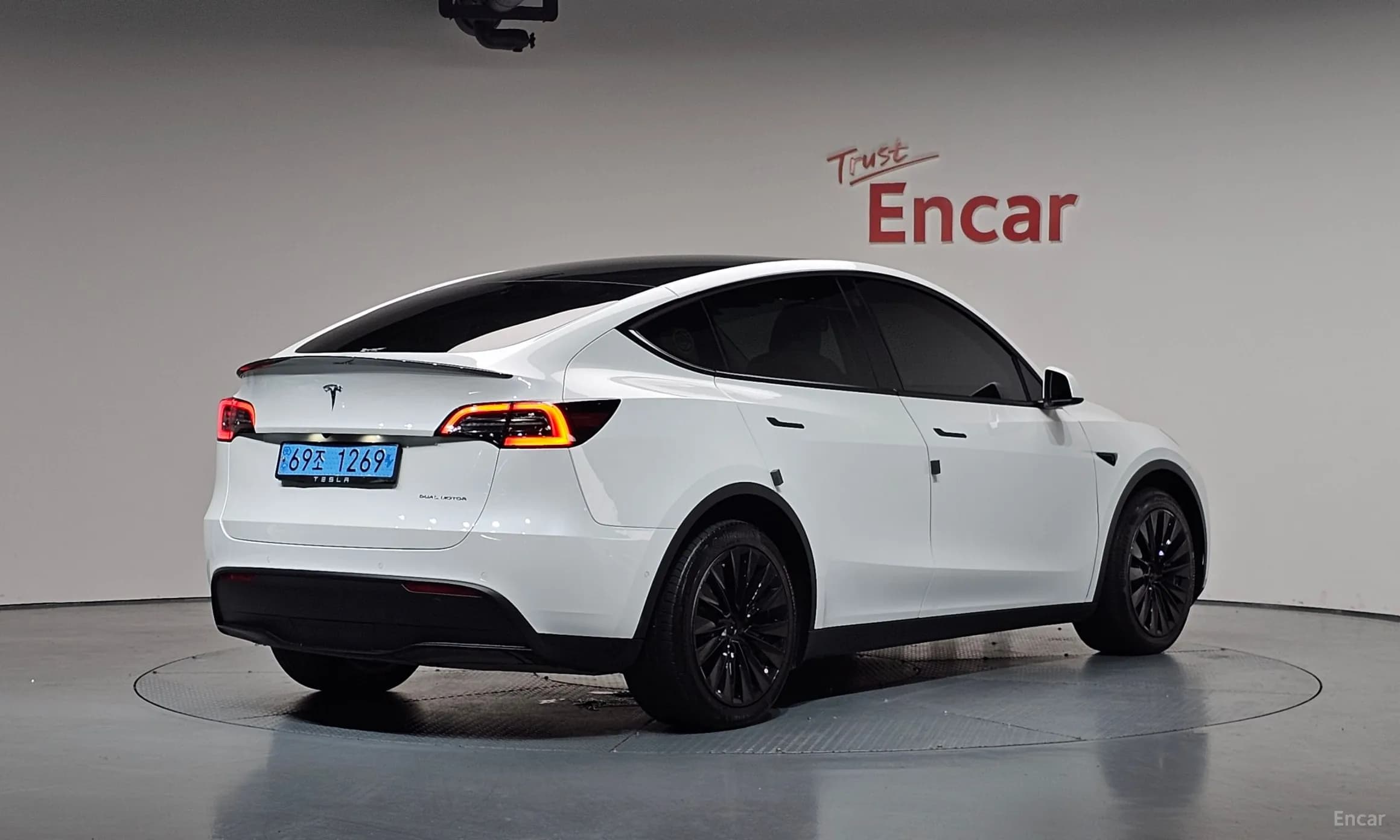 Model Y