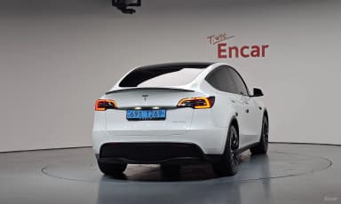 Model Y