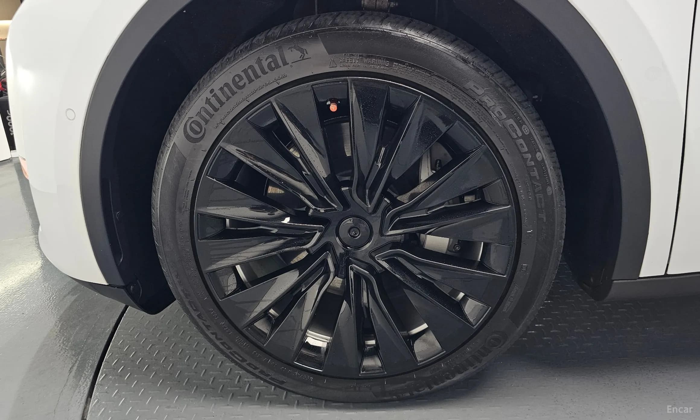 Model Y