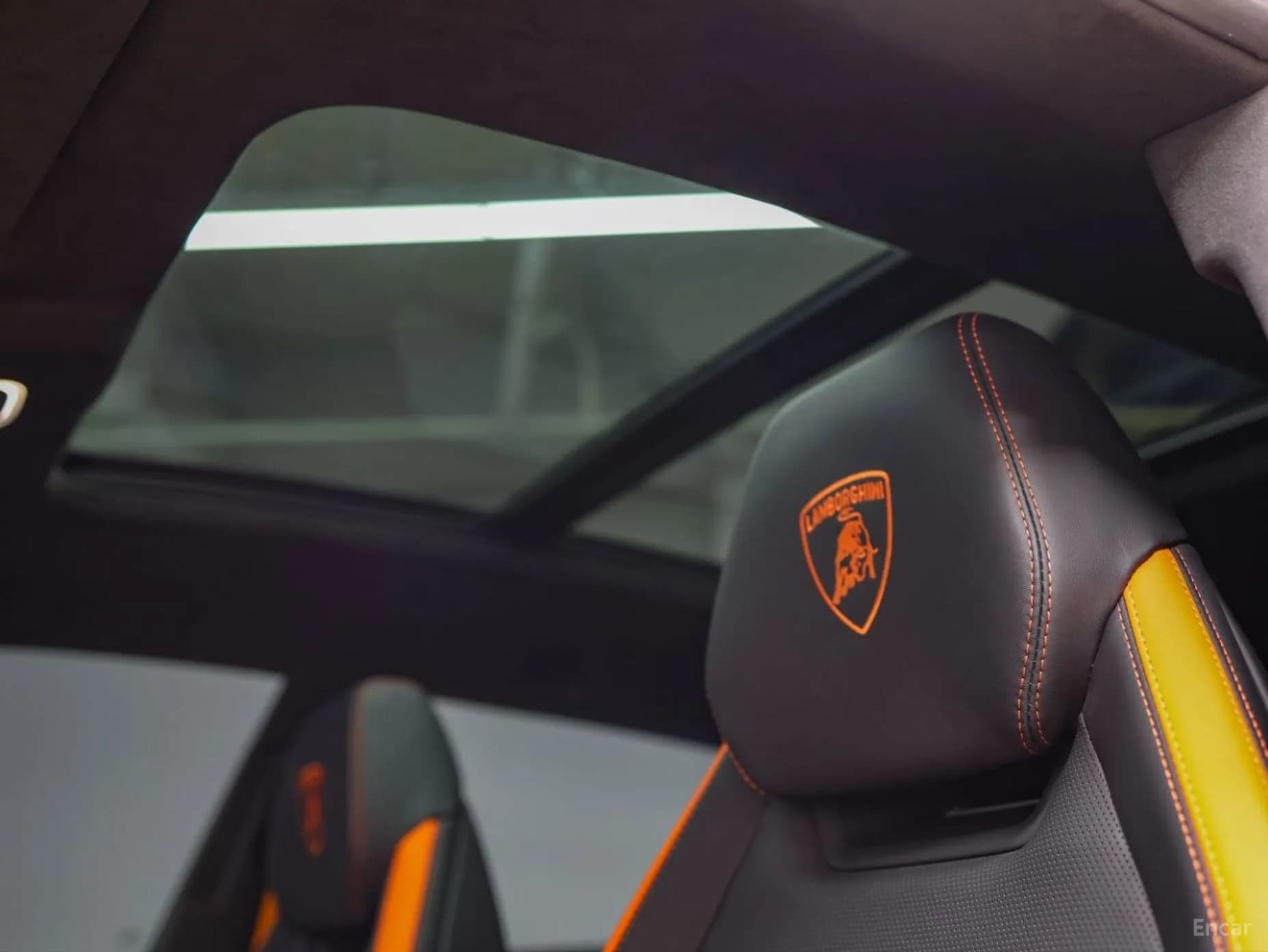 Urus
