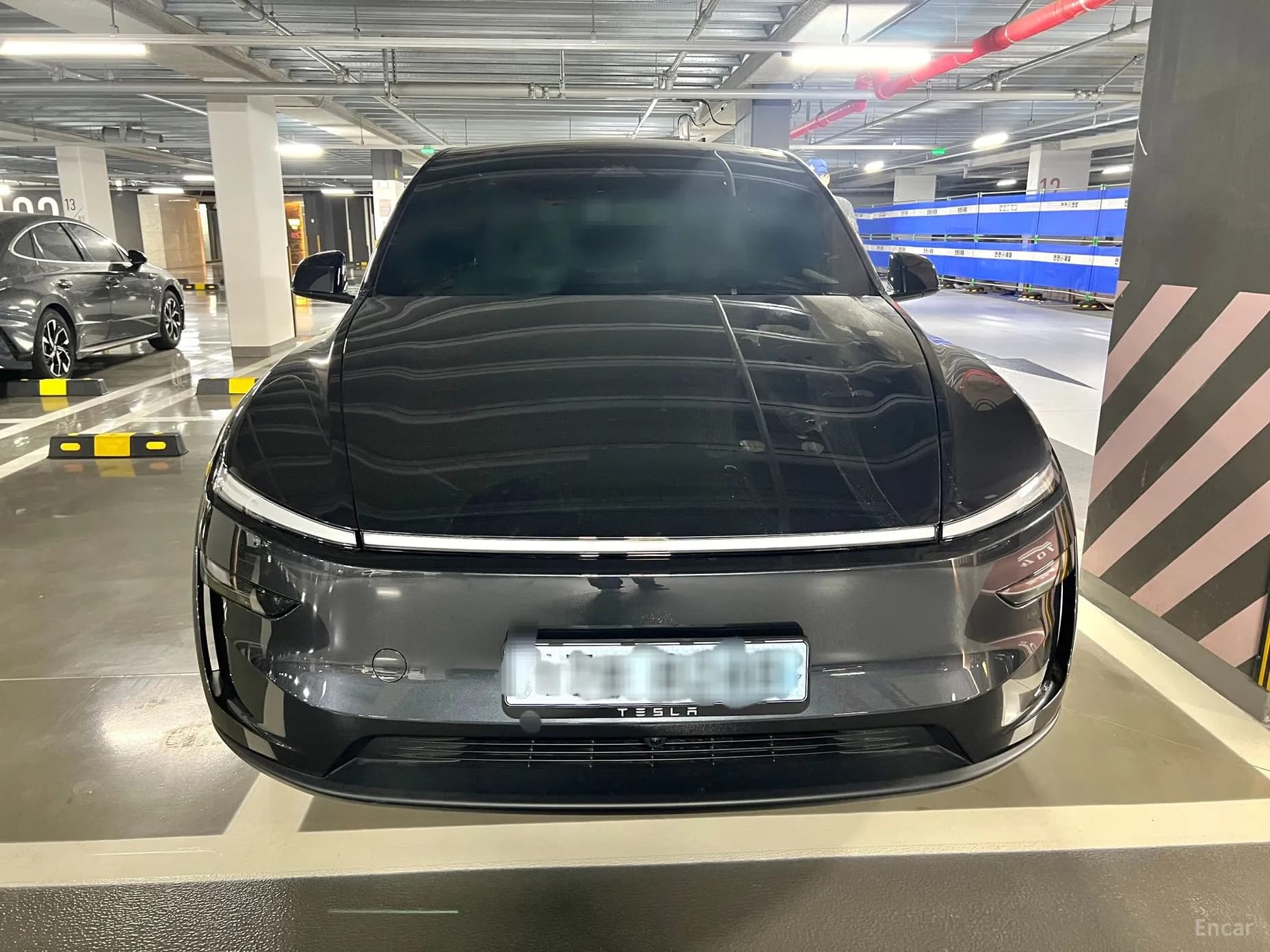 Model Y