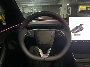 Model Y
