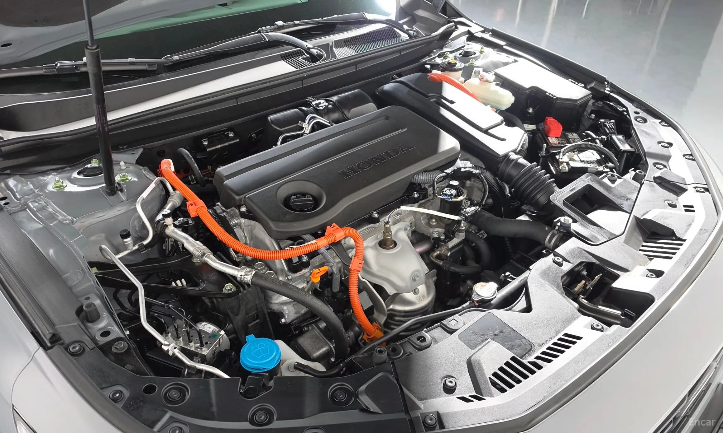 Accord 11th Generation
