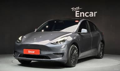 Model Y